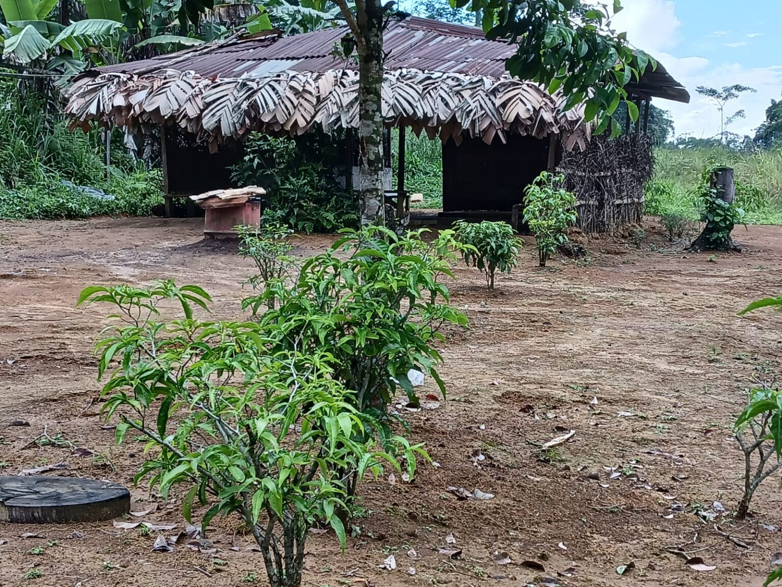 Traditional Bwiti village in Gabon